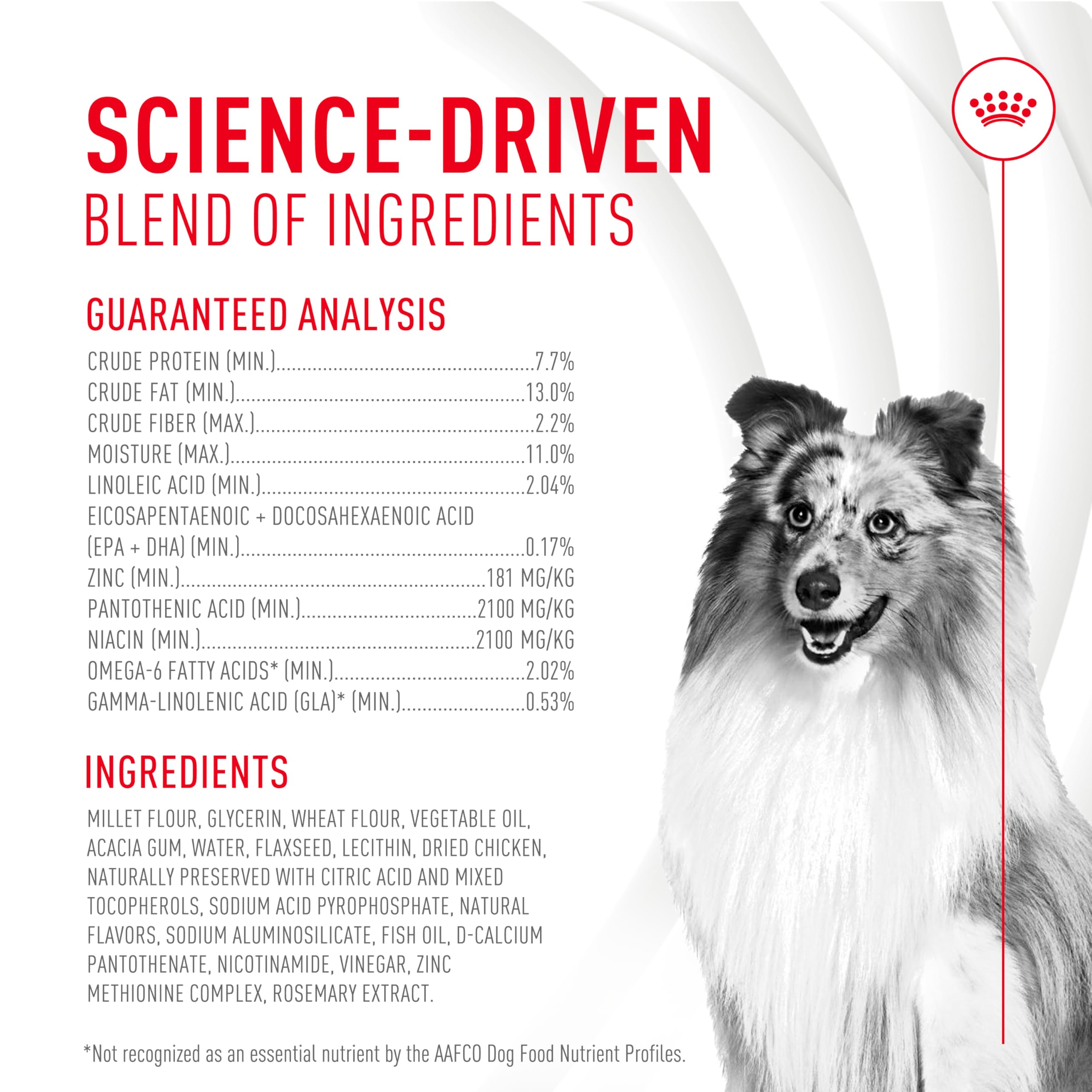 ROYAL CANIN Skin & Coat Health Supplement Soft Chews with a dog