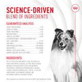 ROYAL CANIN Skin & Coat Health Supplement Soft Chews with a dog