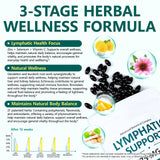 Ruduwu Echinacea 21-in-1 Lymphatic Support Softgels on a wooden table