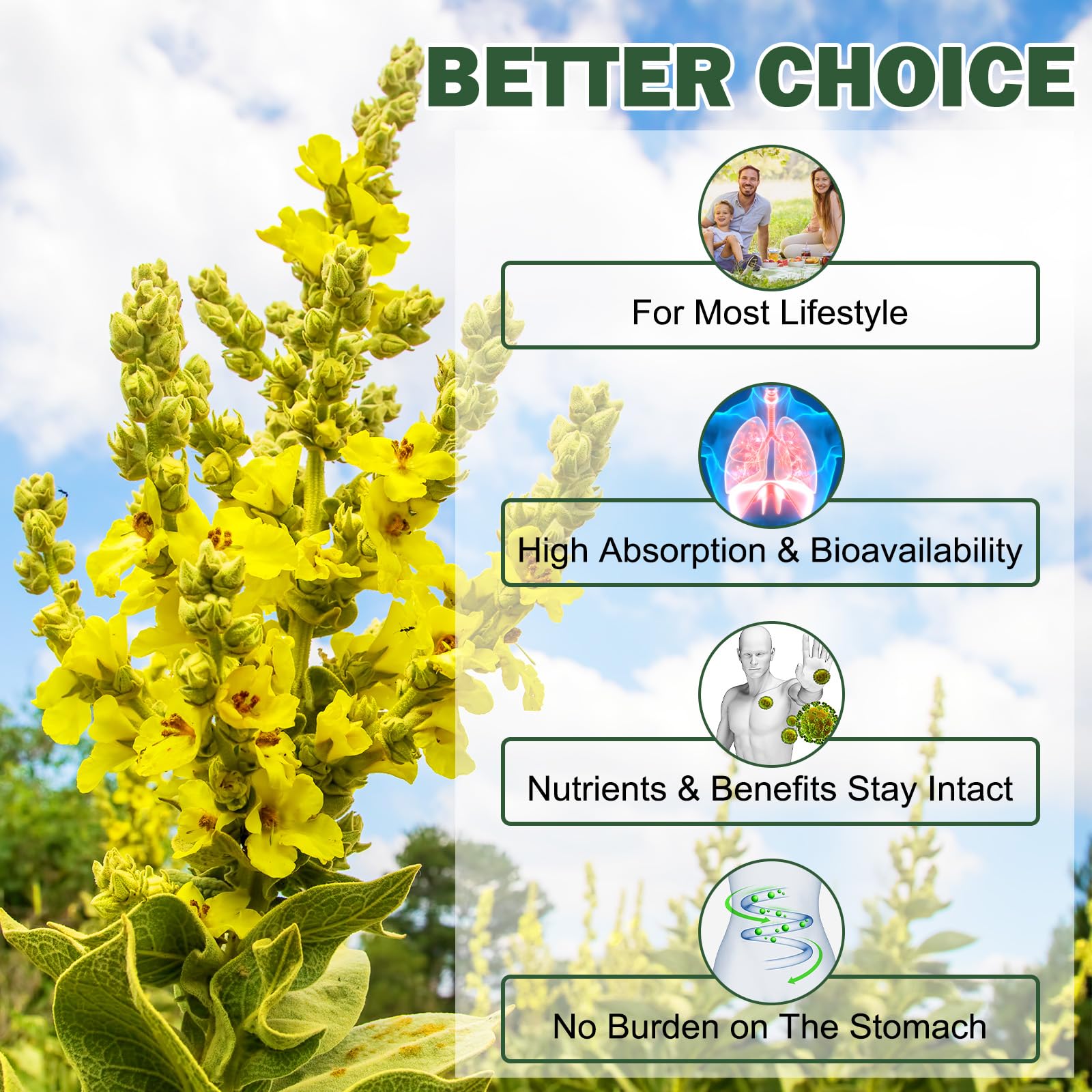 Ruduwu Mullein Leaf Gummies ingredients list