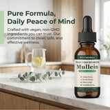 Rulinal Pulmonia Mullein Drops bottle with dosage dropper