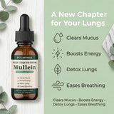 Rulinal Pulmonia Mullein Drops lifestyle scene with herbal ingredients