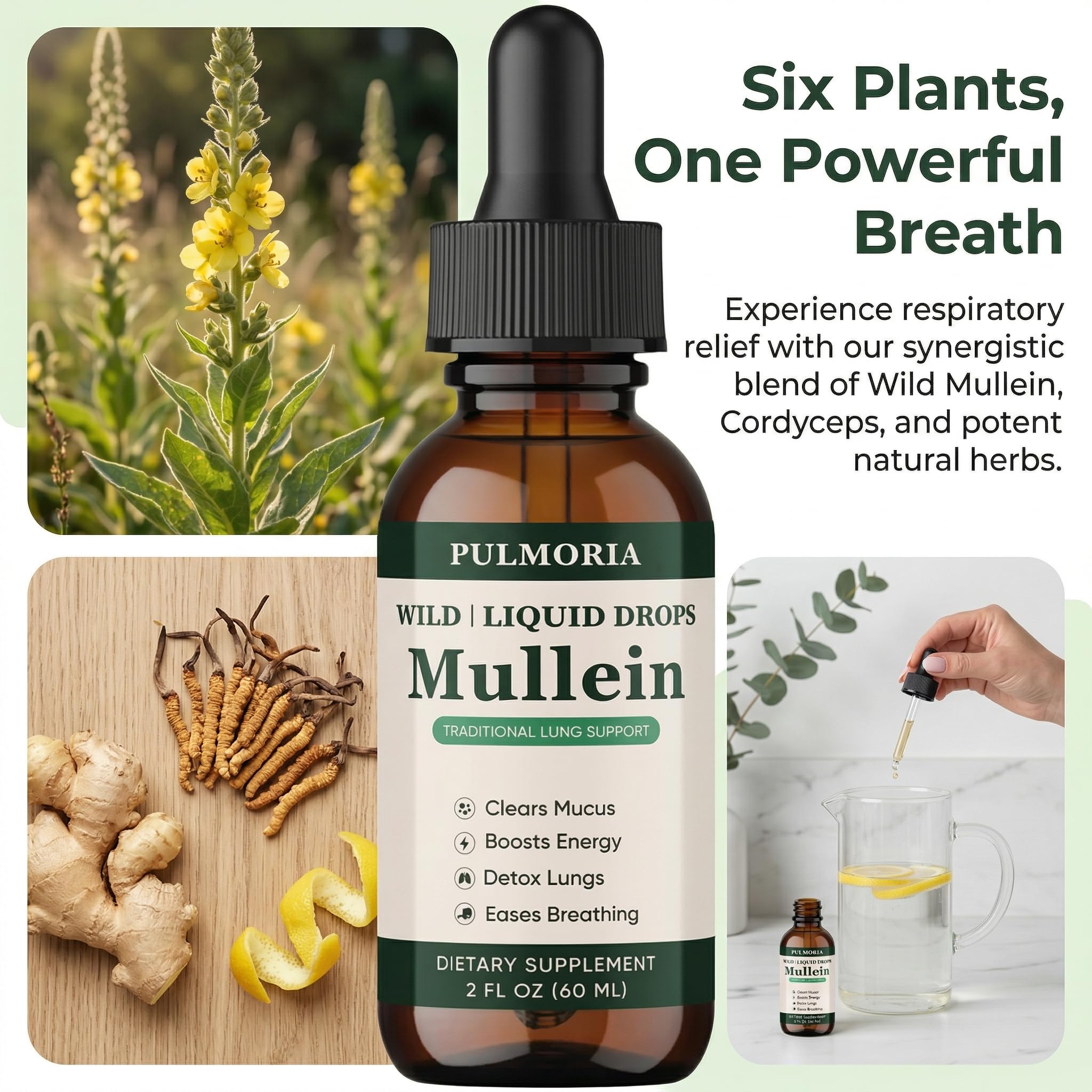 Rulinal Pulmonia Mullein Drops packaging side view