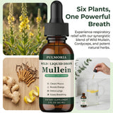 Rulinal Pulmonia Mullein Drops packaging side view
