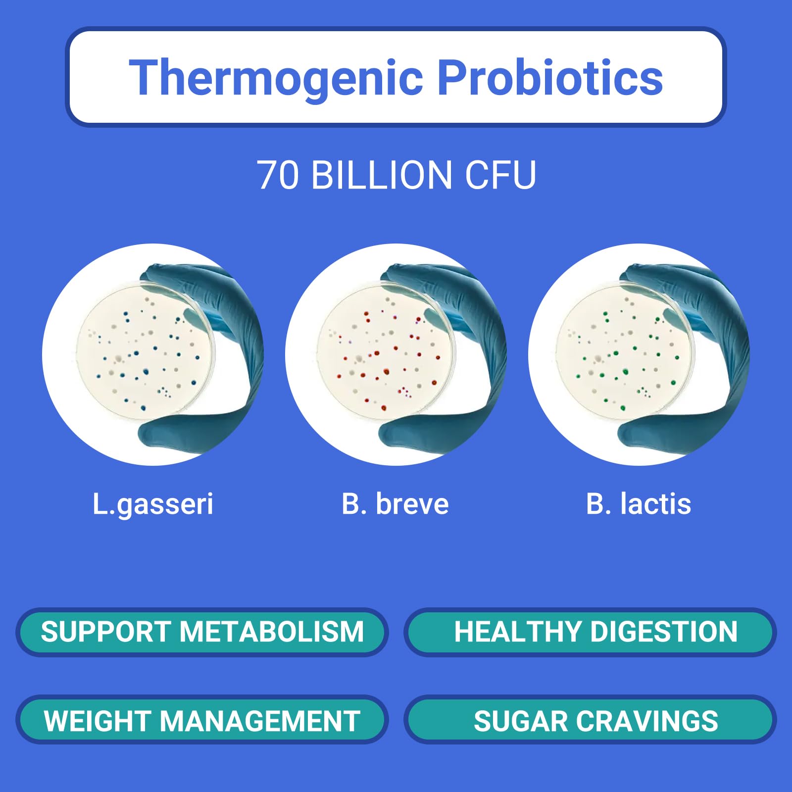 Ruolai Probiotics for Women 68B CFU capsules on a wooden table