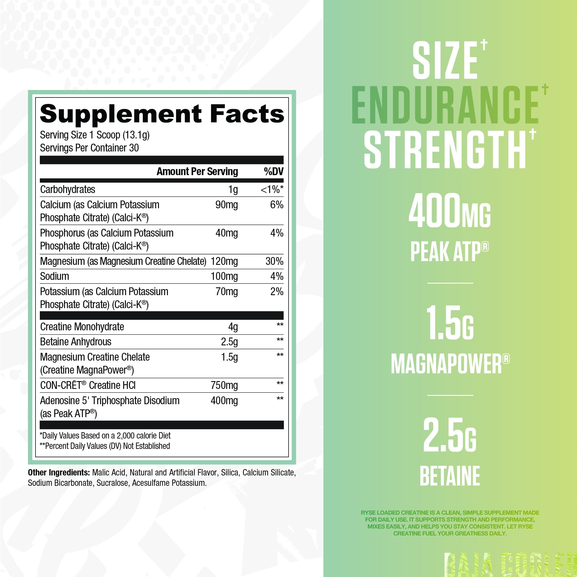 RYSE Up Supplements Loaded Creatine 395g side view