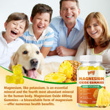 Saajoor Magnesium Gummies 500mg nutritional information