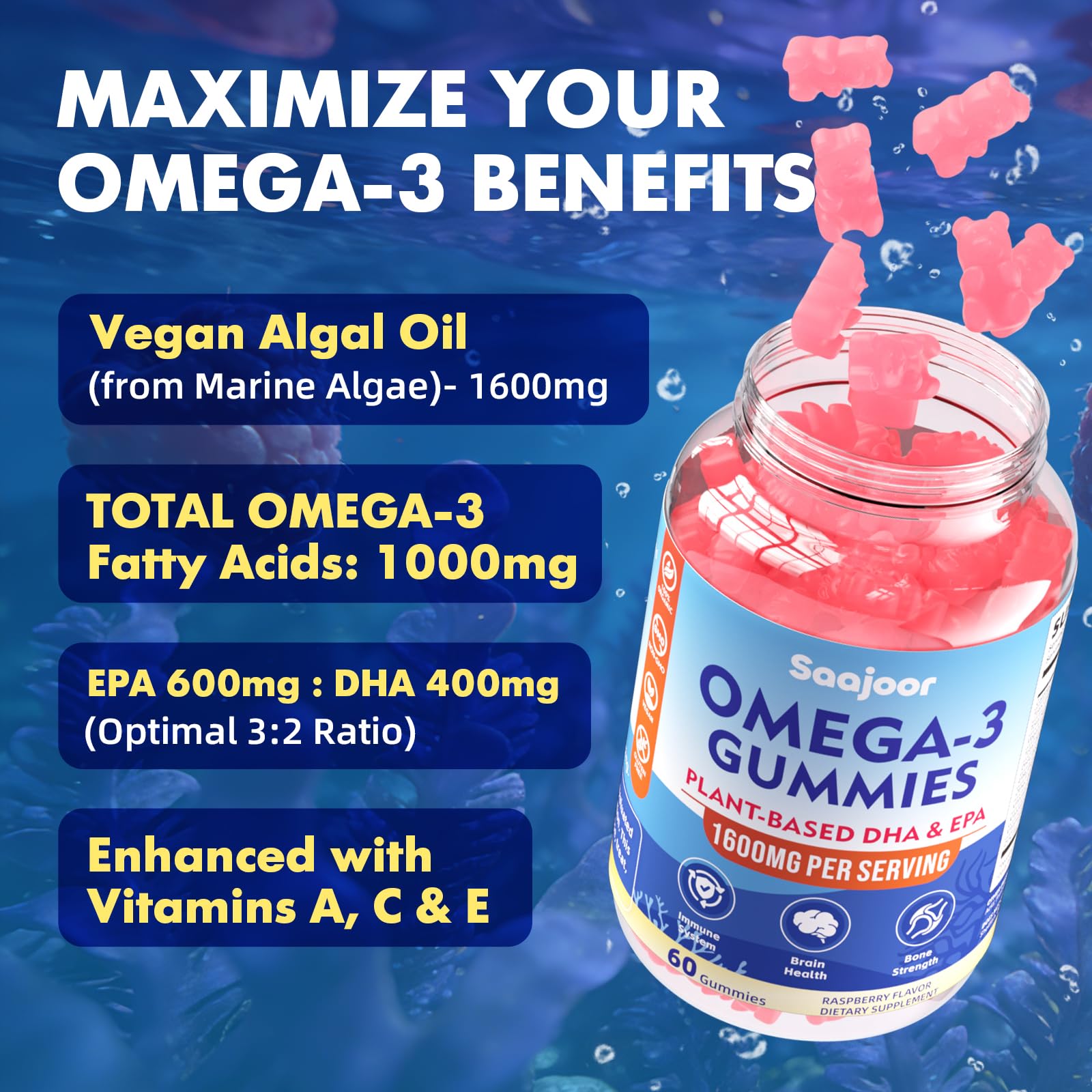 Saajoor Vegan Omega-3 Gummies back view with nutritional info