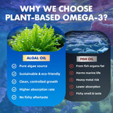 Saajoor Vegan Omega-3 Gummies side view with ingredients