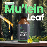 safefine Mullein Leaf Extract Drops bottle side view