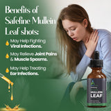 safefine Mullein Leaf Extract Drops in a lifestyle setting