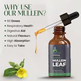 safefine Mullein Leaf Extract Drops ingredients list