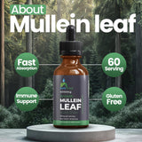 safefine Mullein Leaf Extract Drops packaging