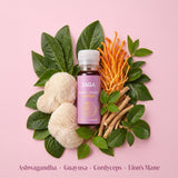 SAGA Mushroom Focus Supplement side view with packaging details