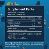 Sages Of The Ages Shilajit Gummies 1500mg back view