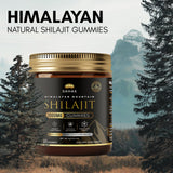 SAHAK Shilajit Gummies close-up of gummies