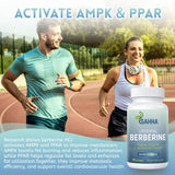 Sahha Liposomal Berberine 168g back view with nutritional information