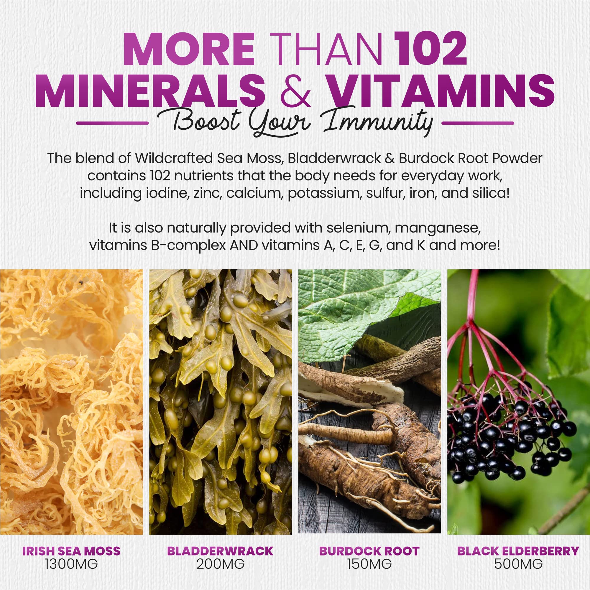 Sakoon Nutrition Irish Sea Moss Gummies packaging