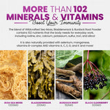Sakoon Nutrition Irish Sea Moss Gummies packaging