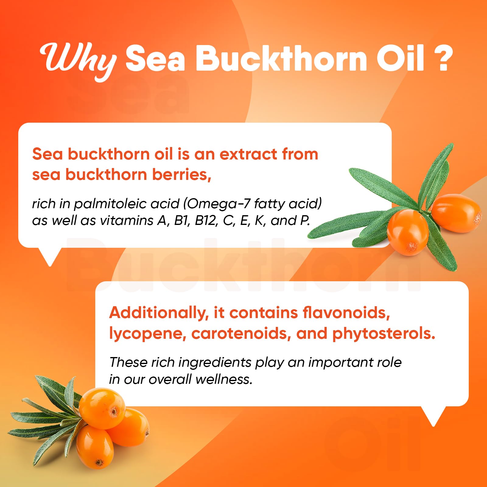 Sakpwer Omega-3 + Sea Buckthorn Oil Supplement bottle top view