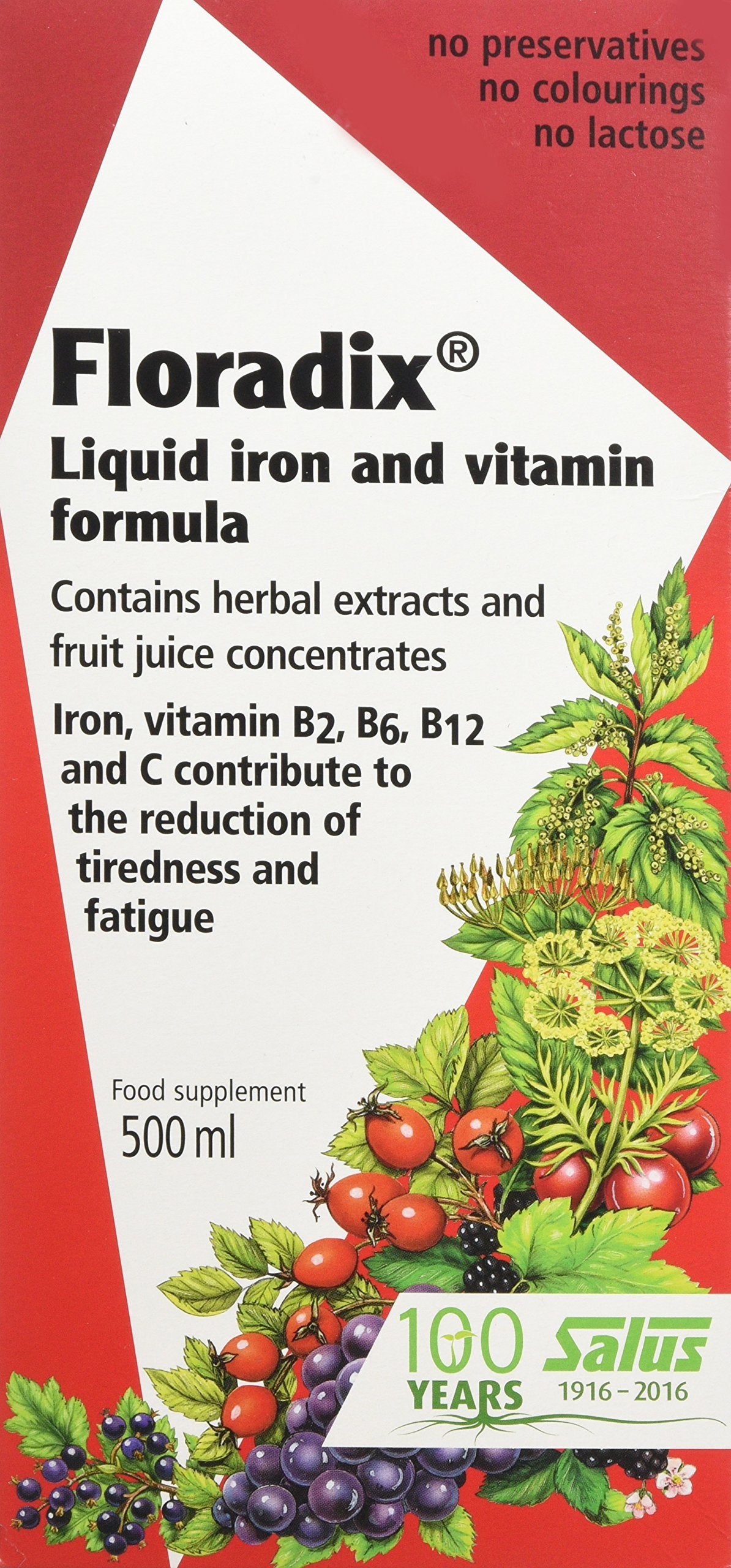 SALUS Floradix Liquid Iron Supplement 500ml front view