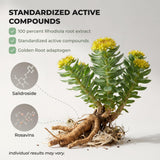 Salvora Rhodiola Rosea Herbal Supplement capsules on wooden table