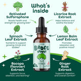 Samara 888 Bacopa Monnieri Liquid Supplement liquid in a spoon