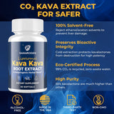 Samarogen Kava Kava Supplement lifestyle scene