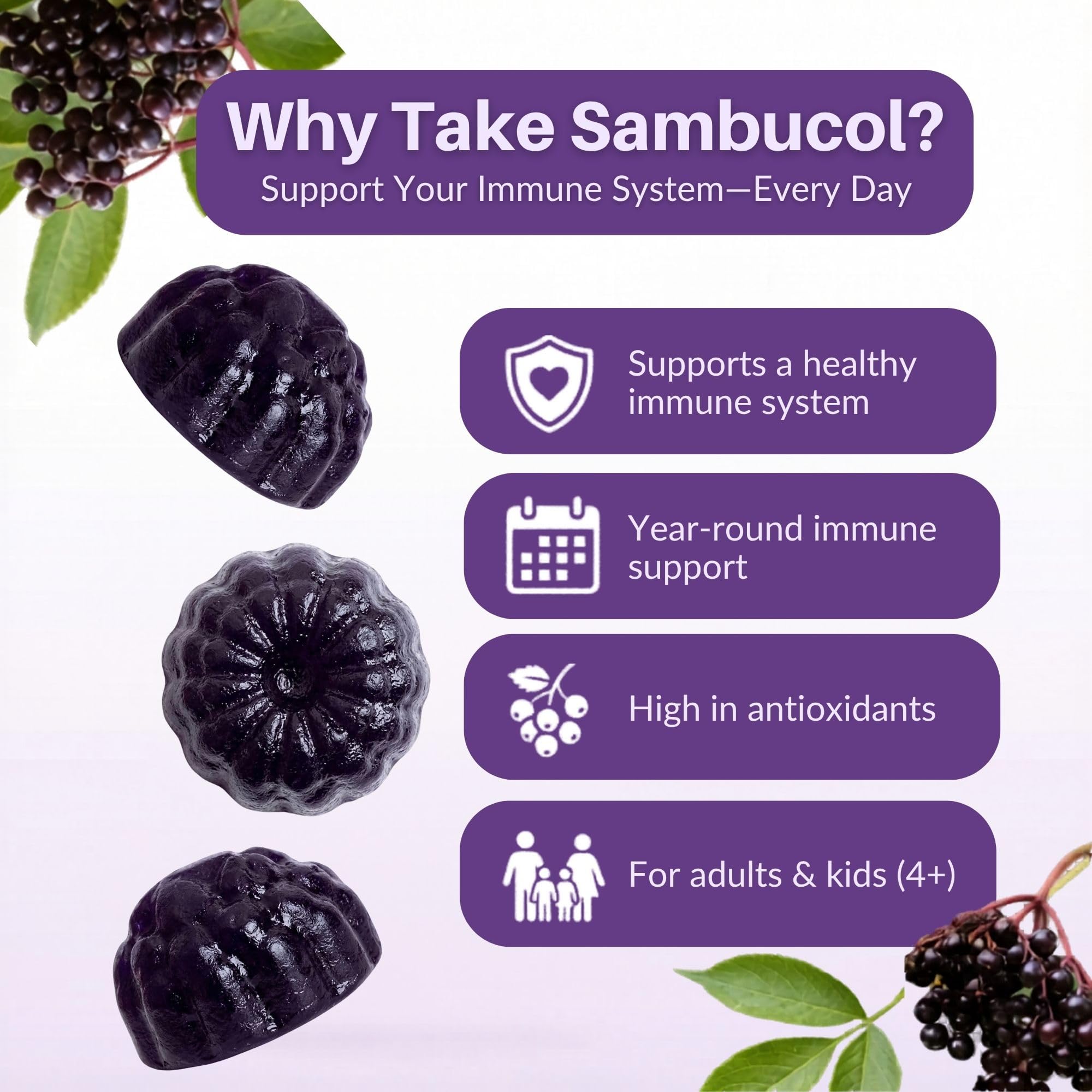 Sambucol Black Elderberry Gummies ingredients list on packaging