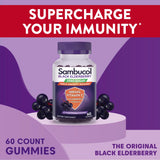 Sambucol Elderberry Gummies back view with nutritional information