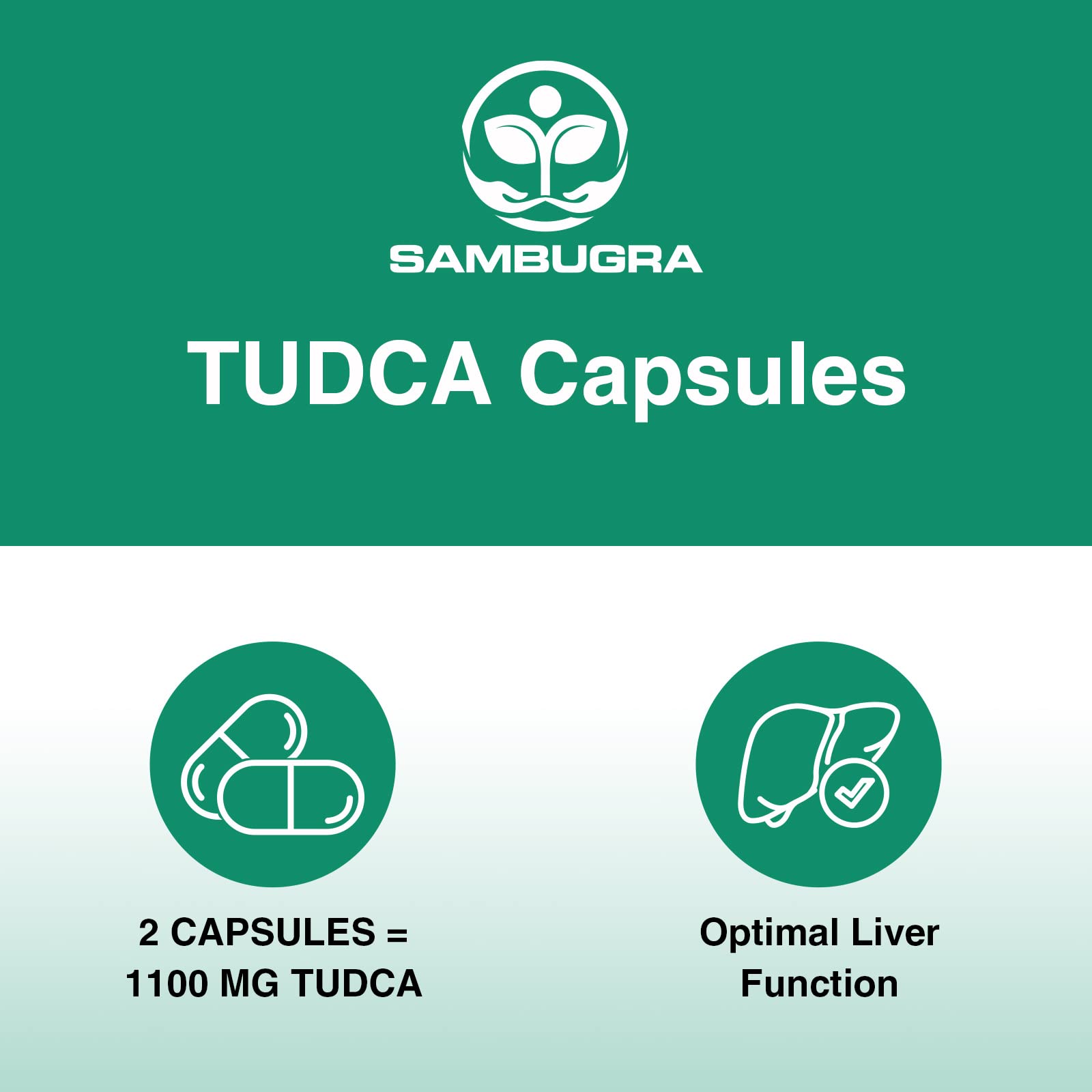Sambugra TUDCA Supplement 1100mg capsule size comparison
