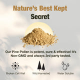 Samsara Herbs Pine Pollen blended in smoothie