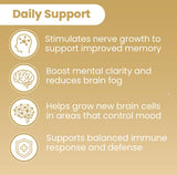 Sanar Naturals Lion's Mane Mushroom Supplement bottle back view