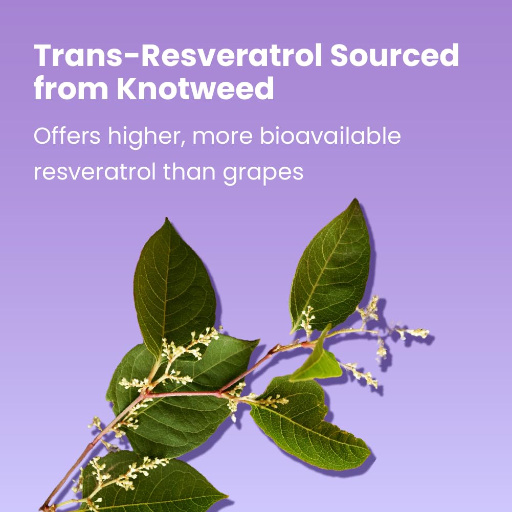 Sanar Naturals Resveratrol 500mg supplement ingredients list on the back of the packaging