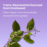 Sanar Naturals Resveratrol 500mg supplement ingredients list on the back of the packaging