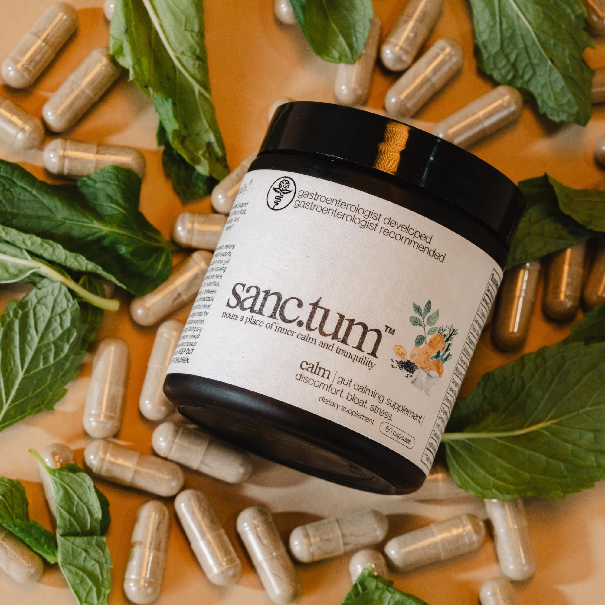 Sanctum daily Support Capsules with ingredients list