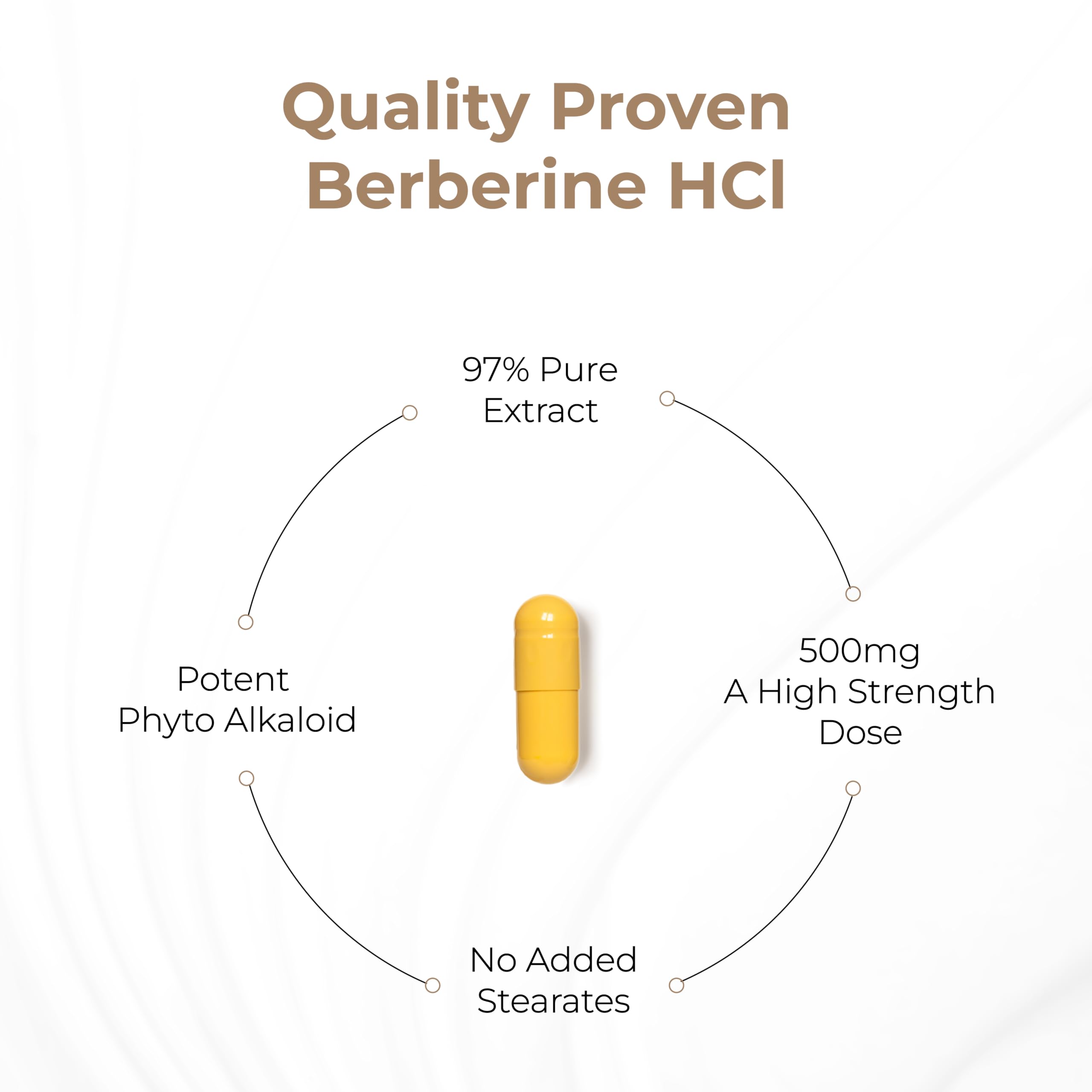Sandhu's Berberine HCL Supplement in a lifestyle setting