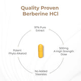 Sandhu's Berberine HCL Supplement in a lifestyle setting