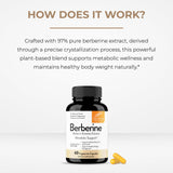 Sandhu's Berberine HCL Supplement packaging side view
