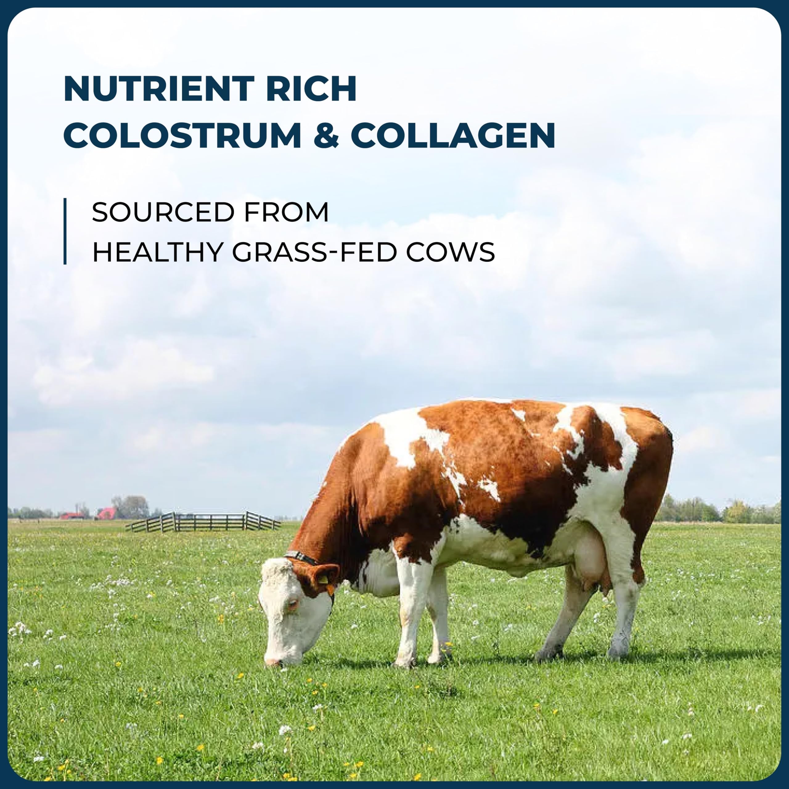 Sandhu's Colostrum powder scoop next to the container