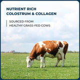 Sandhu's Colostrum powder scoop next to the container