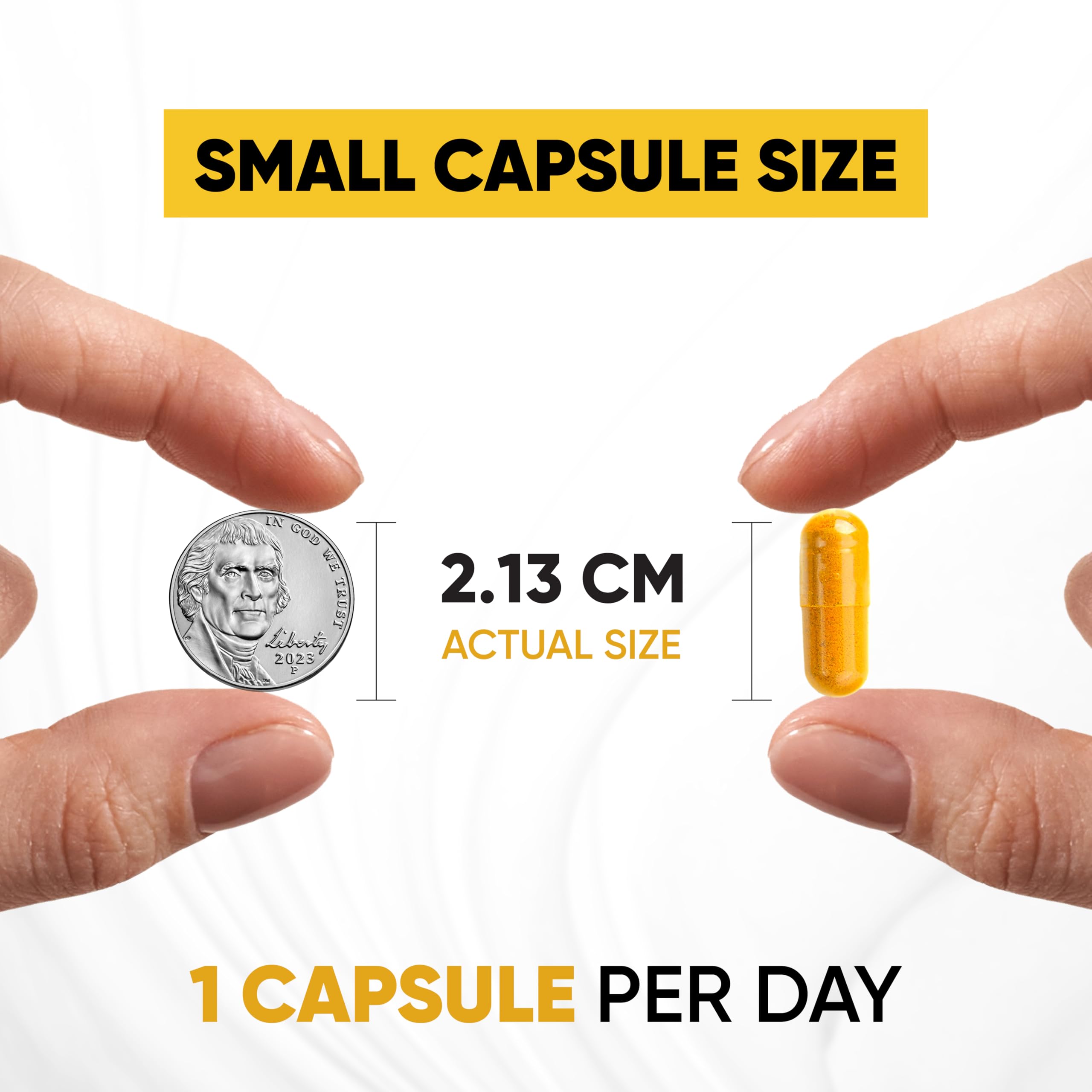 Sandhu's Curcumin C3 Complex 500mg supplement ingredients list