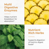 Sandhu's Debloat Herbal Supplement ingredients list