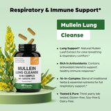 Sandhu's Mullein Leaf Extract Capsules bottle with label
