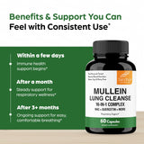 Sandhu's Mullein Leaf Extract Capsules with herbal ingredients
