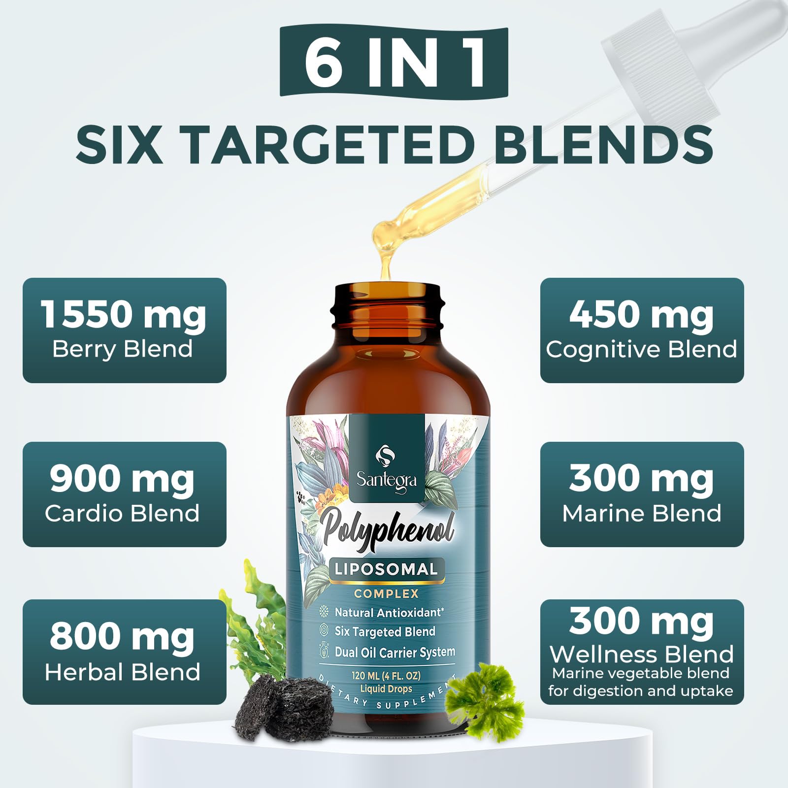 Santegra Polyphenols Drops in a glass of water
