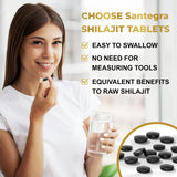 Santegra Shilajit Tablets 500 mg close-up of tablets
