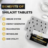 Santegra Shilajit Tablets 500 mg ingredients list
