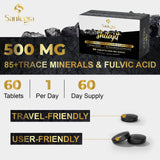 Santegra Shilajit Tablets 500 mg tablets in hand