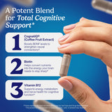 Santo Remedio Memoria Ginkgo Biloba Capsules ingredients list